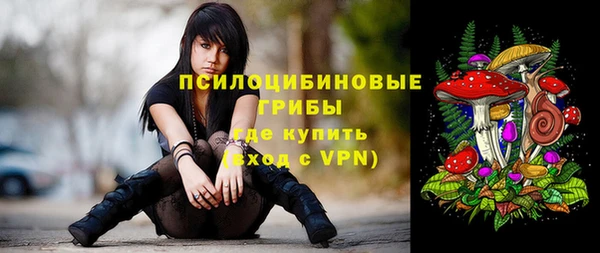 соль ск Абдулино