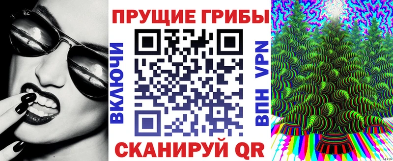 Галлюциногенные грибы Psilocybe Александровск