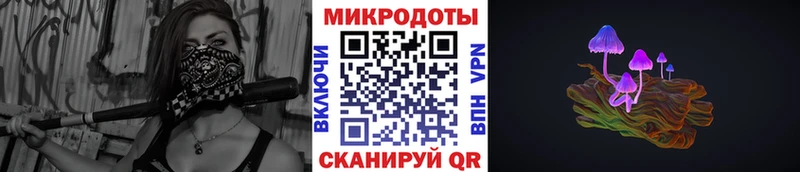 Псилоцибиновые грибы Magic Shrooms  где продают   Александровск 